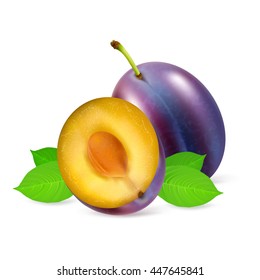 Whole and half plum fruit with leaf isolated on white background. Realistic vector illustration.