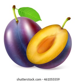 Whole and half plum fruit with leaf isolated on white background. Realistic vector illustration.