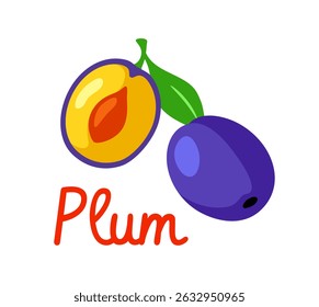 Whole and half plum with a green leaf and visible seed, colorful cartoon style, isolated on a white background. Concept of fruit education. Vector illustration