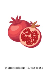 Whole and half pomegranate fruit vector illustration isolated on white background