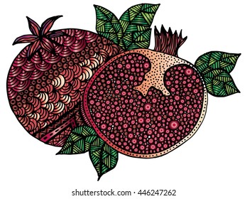 Whole and half pomegranate vector illustration