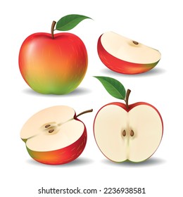 Whole half quarter apples. Vector red apple, cutted slices cartoon realistics fresh appled fruit isolated on white background for delicious pure dessert juice illustrations