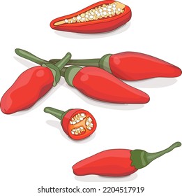 Whole, half, and quarter of Peri peri chili peppers. Piri Piri. Piripiri. Pili pili. Bird's eye peppers. Siling labuyo. Vegetables. Cartoon style. Vector illustration isolated on white background.