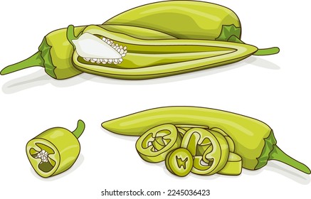 Whole, half, quarter, and slices of Hungarian Chile Peppers. Hungarian wax pepper. Hot Wax pepper. Chili pepper. Vegetables. Cartoon style. Vector illustration isolated on white background.