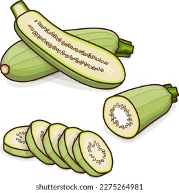 Whole, half, quarter, slices of Lebanese zucchini or Green courgette. Courgette or marrow. Summer squash. Cucubits. Fruits. Vegetables. Cartoon style. Vector illustration isolated on white background.