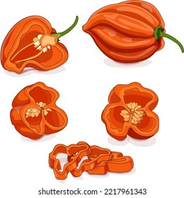 Whole, half, quarter, slices of orange habanero chili peppers. Capsicum chinense. Hot chili pepper. Fresh organic vegetables. Cartoon style. Vector illustration isolated on white background.