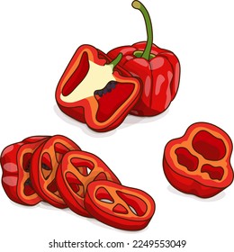 Todo, medio cuarto, trozos de pimientos Rocoto. Pimientos de Locoto. Pimientos de rocote. Rocoto de Ají. Pimienta chile. Verduras. Estilo de caricatura. Ilustración vectorial aislada en fondo blanco.