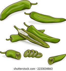 Whole, half, quarter, slices, and wedges of Green anaheim peppers. Capsicum annuum. Chili pepper. Fresh organic vegetables. Cartoon style. Vector illustration isolated on white background.