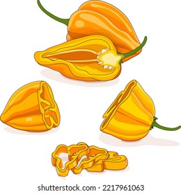 Whole, half, quarter, slices of yellow habanero chili peppers. Capsicum chinense. Hot chili pepper. Fresh organic vegetables. Cartoon style. Vector illustration isolated on white background.