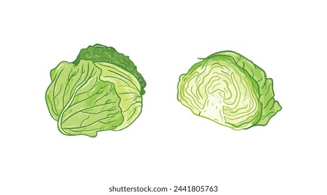 Whole and half raw cabbage