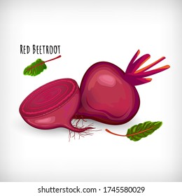 Whole, half red beetroot plant isolated on white background. Healthy diet vegetarian food. Salad ingredient in flat style. Lettering Red Beetroot. Vector illustration.