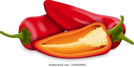 Whole and half of Red Fresno chili peppers. Capsicum annuum. Chili pepper. Fresh organic vegetables. Vector illustration isolated on white background.