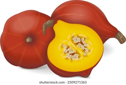 Whole and half of Red Kuri squash. Climbing Onion squash, Potimarron squash. Winter squash. Cucurbita maxima. Fruits and vegetables. Isolated vector illustration.