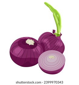 Whole and half red onions isolated on white background. Vector cartoon illustration