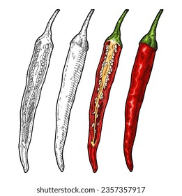 Whole and half red pepper cayenne. Vintage engraving vector color illustration. Isolated on white background. Hand drawn design