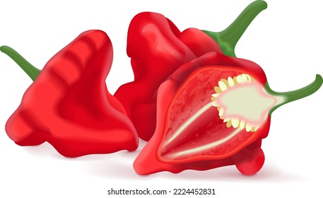 La mitad y la mitad de los pimientos bonnet de whisky rojo. Capsicum chinense. Pimienta picante. Verduras ecológicas frescas. Ilustración vectorial aislada en fondo blanco.