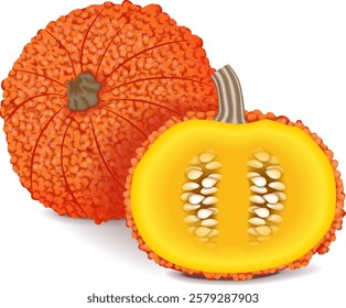 Whole and half of Red Warty Thing Pumpkin. Winter squash. Cucurbita maxima. Fruits and vegetables. Isolated vector illustration.