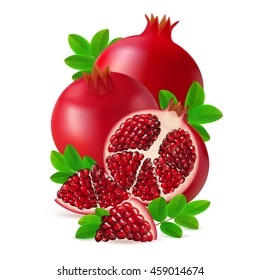 Whole, half and segment pomegranate fruit with leaves isolated on white background. Realistic vector illustration.