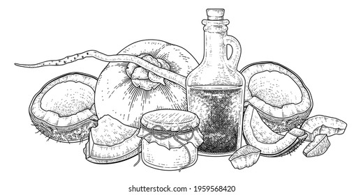 Whole half shell meat and oil of Coconut hand drawn vector retro illustration 