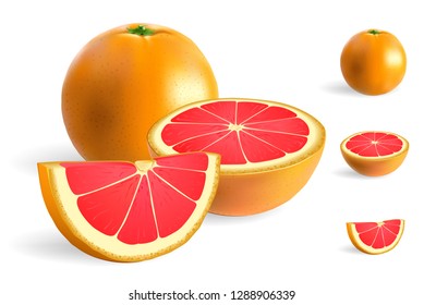 Whole, half and slice of pink grapefruit isolated on white vector illustration.