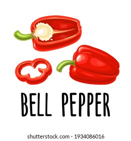 Todo, medio y rebanar pimienta de campanilla roja. Ilustración realista de color vectorial para menú, afiche, etiqueta. Aislado sobre fondo blanco. Elemento de diseño dibujado a mano