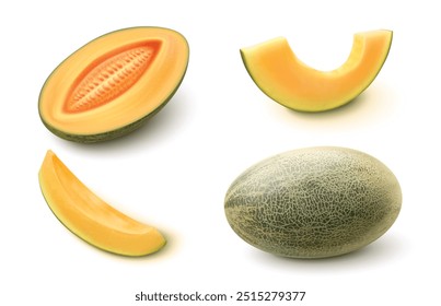 Frutos inteiros, metades e fatias de melão doce, sumarento e maduro, com casca de textura verde e polpa de laranja com sementes. Realista vetor 3d ilustração conjunto de melada cantaloupe. Sobremesa tropical natural.