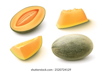 Frutos inteiros, metades e fatias de melão doce, sumarento e maduro, com casca de textura verde e polpa de laranja com sementes. Realista vetor 3d ilustração conjunto de melada cantaloupe. Sobremesa tropical natural.