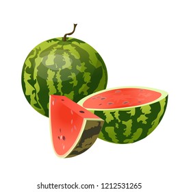 Whole, half and slice watermelon. Vector illustration isolated on white background