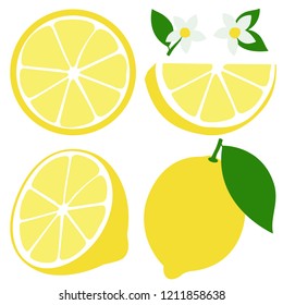 Whole and half sliced lemon fruit, lemon flowers and leaves. Vector illustration.