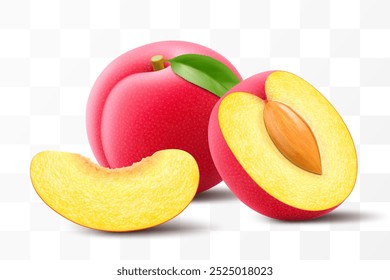 Whole, half and sliced of plum with leaf. Sweet plum with stone isolated on transparent background. Round red fruits, prunes, jam natural berries, fresh organic food. Realistic vector 3d illustration