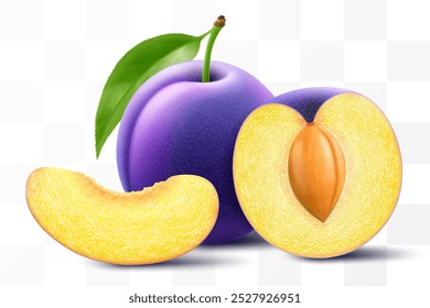 Inteiras, em metades e fatiadas de ameixa com folha. Ameixa doce com pedra isolada sobre fundo transparente. Oval frutas roxas, ameixas, bagas naturais, alimentos orgânicos frescos. Ilustração realista de vetor 3d