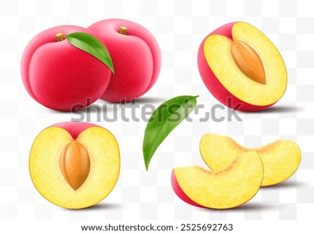 Whole, half and sliced of plum with leaf. Sweet juicy plum with stone isolated on transparent background. Set of red fruits or berries, prunes, fresh organic food. Realistic vector 3d illustration
