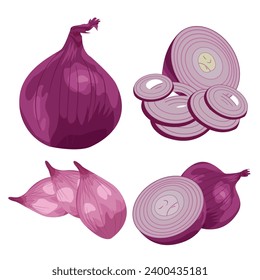 Whole, half and sliced red onions isolated on white background Vector cartoon illustration