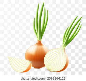 Whole, half and slices of fresh onion. Set of ripe yellow onion with green feather isolated on transparent background. Healthy food. Natural vegetable. Realistic 3d vector illustration