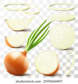Whole, half and slices of fresh onion. Set of ripe yellow onion with green feather and onion rings isolated on transparent background. Healthy food. Natural vegetable. Realistic 3d vector illustration