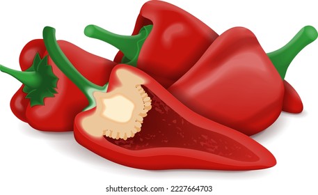 Whole and half of Spanish Piquillo peppers. Pimiento pepper. Pimiento del piquillo. Capsicum annuum. Red chili pepper. Fresh organic vegetables. Vector illustration isolated on white background.