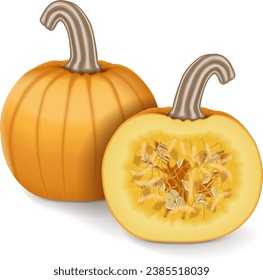 Whole and half of Sugar Pie Pumpkins. Winter squash. Cucurbita pepo. Fruits and vegetables. Isolated vector illustration.