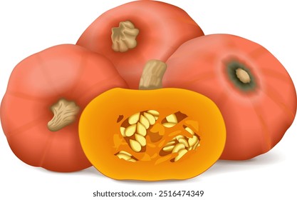 Whole and half of Sunshine kabocha squash. Winter squash. Cucurbita maxima. Fruits and vegetables. Isolated vector illustration.