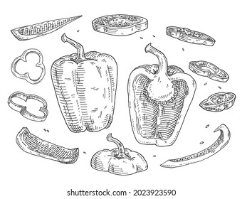 Ganze und halb süße Glockenpfeffer mit fliegenden Scheiben. Vintage schlüpfen schwarze Illustration. Einzeln auf weißem Hintergrund. Handgezeichnetes Design