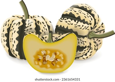 Whole and half of Sweet Dumpling squash. Winter squash. Cucurbita pepo. Fresh, organic, raw fruits and vegetables. Isolated vector illustration.