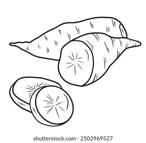 Whole and half sweet potato Ipomoea batatas unpeeled in black isolated on white background. Hand drawn vector sketch illustration in doodle engraved vintage line art style. Superfood, tasty vegetable