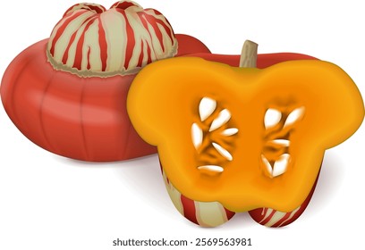 Whole and half of Turban Squash or Turk s Turban. Winter squash. Cucurbita maxima. Fruits and vegetables. Isolated vector illustration.