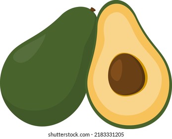 Whole and halved avacado, cartoon style, vector illustration isolated on white background