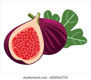 Whole and halved fig vector illustration. Juicy fruit slice on white background, perfect for Mediterranean food branding and gourmet packaging designs.