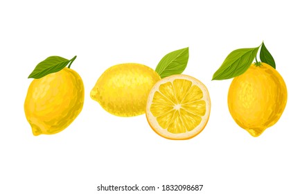 Whole and Halved Lemon Citrus Fruit with Green Leaf Vector Set