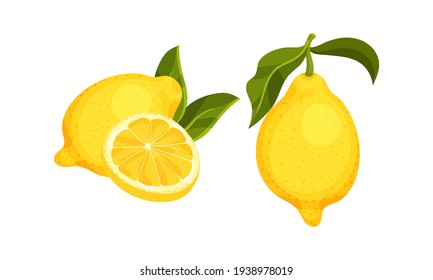 Whole And Halved Lemon Citrus Fruit With Juicy Flesh And Green Leaves Vector Set