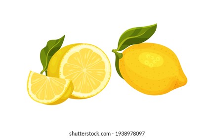 Whole and Halved Lemon Citrus Fruit with Juicy Flesh and Green Leaves Vector Set