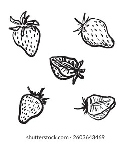 Whole and halved strawberry set in black brush stroke texture isolated on white. Hand drawn vector sketch illustration in vintage charcoal ink. Summer harvest, berry design, print
