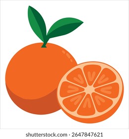 Whole and halved tangerine vector. Citrus fruit illustration isolated.