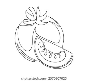 Whole and halves tomato contour line isolated on white background. Simple vegetable silhouette. Hand drawn tomatoes outline. Vector illustration